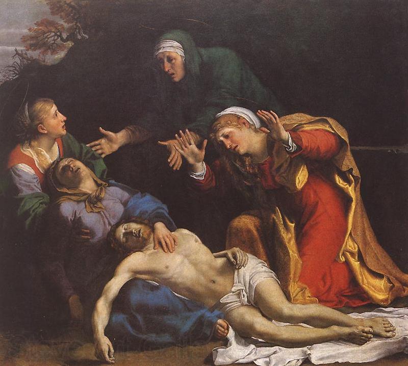 CARRACCI, Annibale Lamentation of Christ df Spain oil painting art